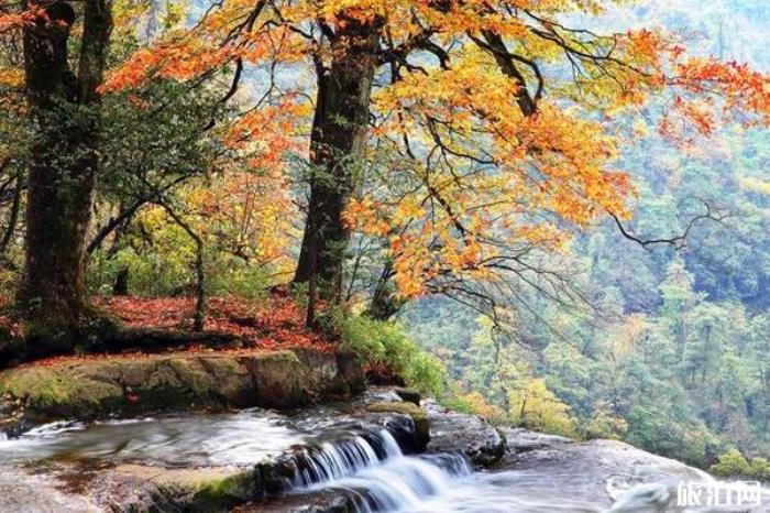 昭通小草壩風景區(qū)