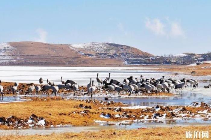 昭通大山包國(guó)家公園