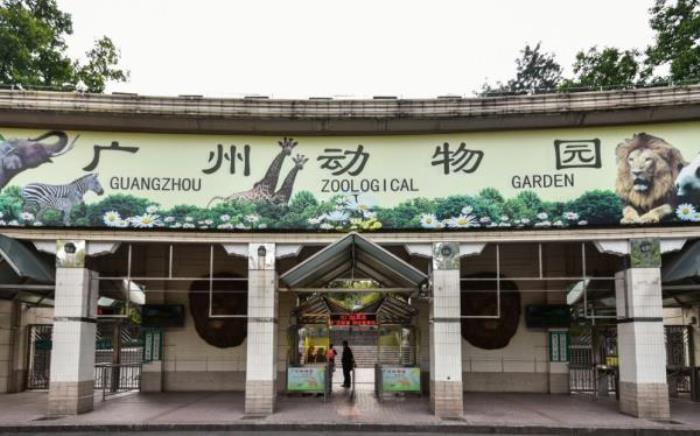 廣州動物園