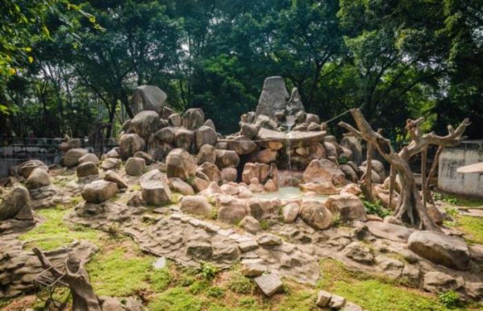 廣州動物園 廣州動物園