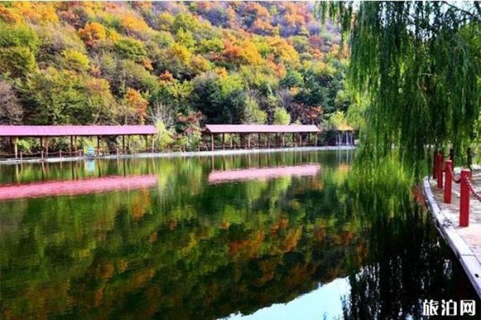 陽泉翠楓山介紹 陽泉翠楓山介紹