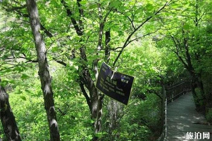 陽泉翠楓山介紹 陽泉翠楓山介紹