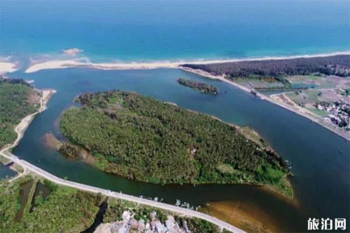 吊羅山熱帶森林 吊羅山熱帶森林