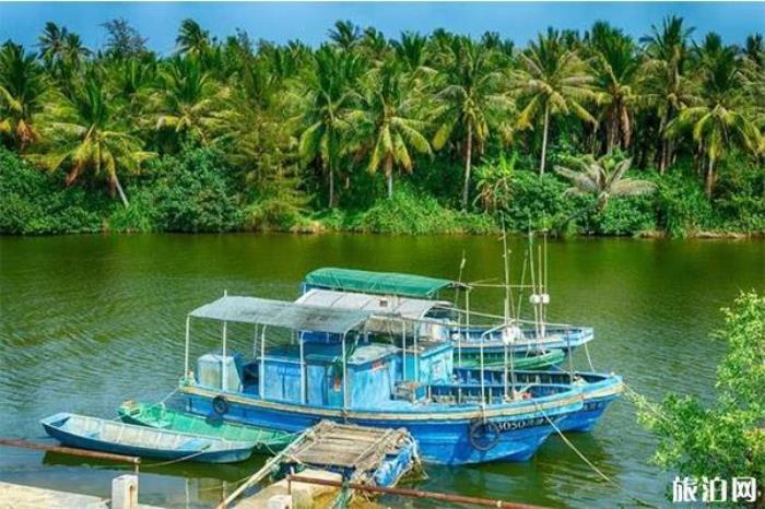 吊羅山熱帶森林 吊羅山熱帶森林