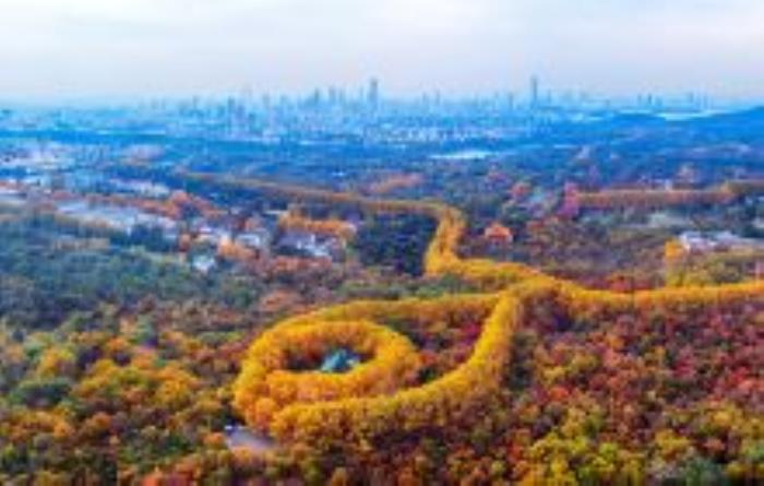 美齡宮江蘇景點 美齡宮江蘇景點