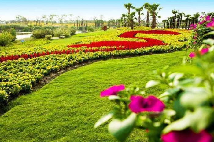 上海周浦花海生態園 上海周浦花海生態園
