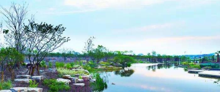 上海周浦花海生態園 上海周浦花海生態園