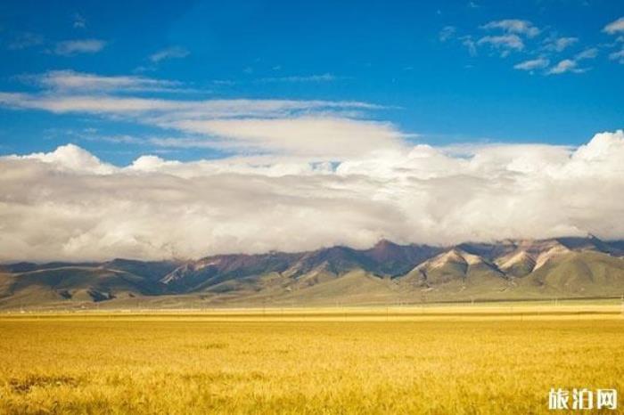 祁連山草原 祁連山草原
