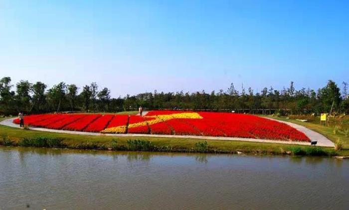 上海周浦花海生態園 上海周浦花海生態園