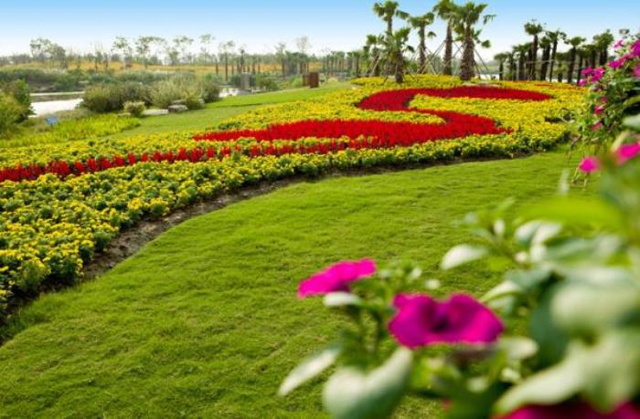 上海周浦花海生態園 上海周浦花海生態園