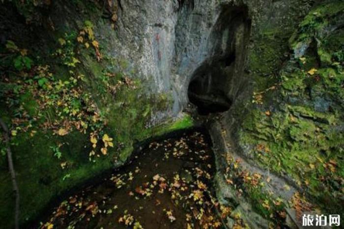 鳳陽狼巷迷谷風(fēng)景區(qū) 鳳陽狼巷迷谷風(fēng)景區(qū)