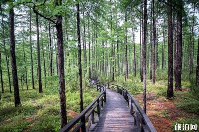 莫爾道嘎國(guó)家森林公園