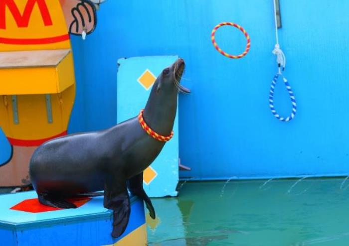 常州中華恐龍園