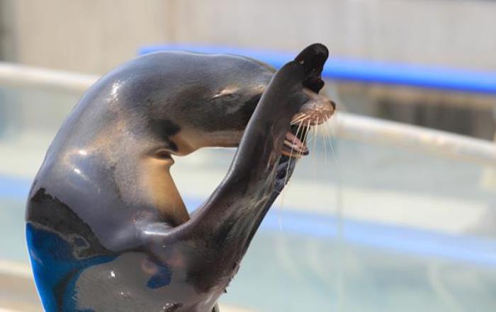 常州中華恐龍園