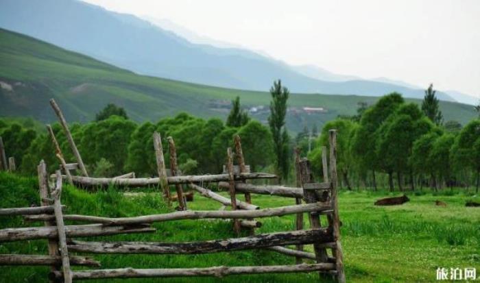 那拉提景區 那拉提景區