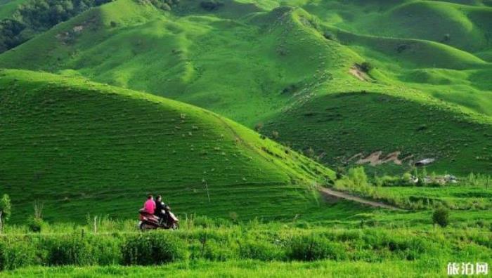那拉提景區 那拉提景區