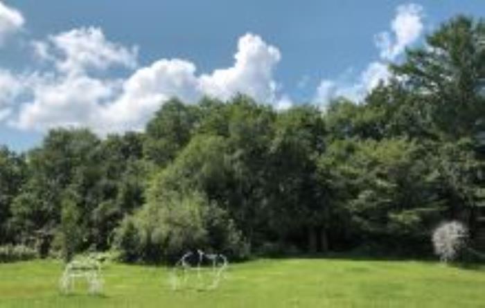 長白山美人松雕塑公園吉林景點(diǎn)