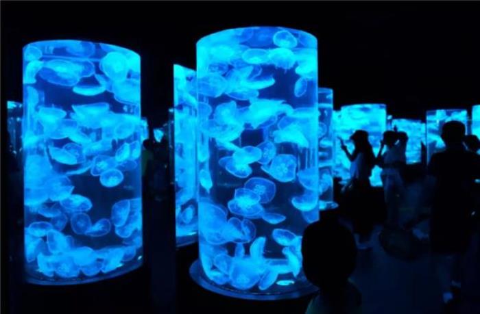 溫州極地海洋世界