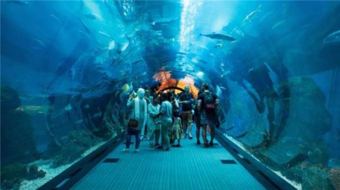 溫州極地海洋世界