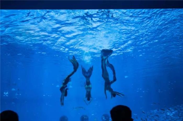 溫州極地海洋世界