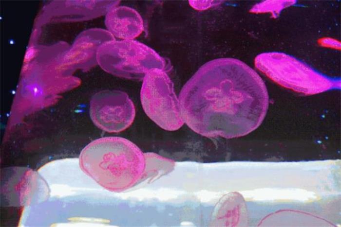 溫州極地海洋世界