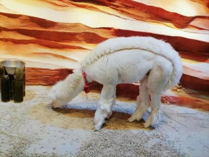 杭州-酷嗒?jiǎng)游镂幕瘶?lè)園 杭州-酷嗒?jiǎng)游镂幕瘶?lè)園