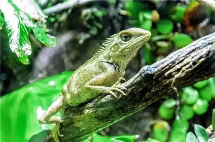 杭州-酷嗒?jiǎng)游镂幕瘶?lè)園 杭州-酷嗒?jiǎng)游镂幕瘶?lè)園