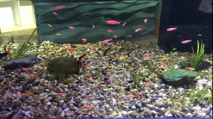 杭州-酷嗒?jiǎng)游镂幕瘶?lè)園 杭州-酷嗒?jiǎng)游镂幕瘶?lè)園