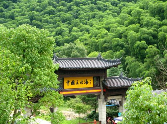 中國大竹海 中國大竹海