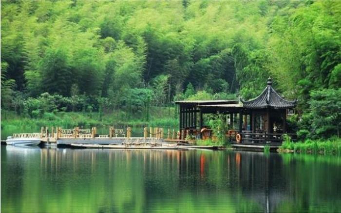 中國大竹海 中國大竹海