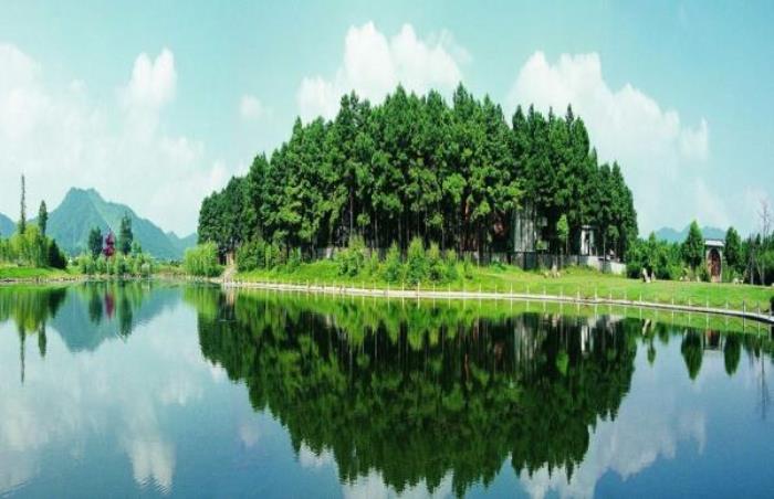 中國大竹海 中國大竹海