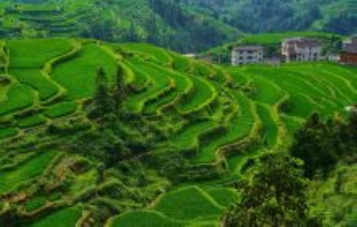 堂安梯田貴州景點