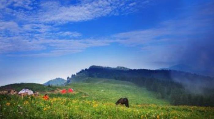 駝梁風景區 駝梁風景區
