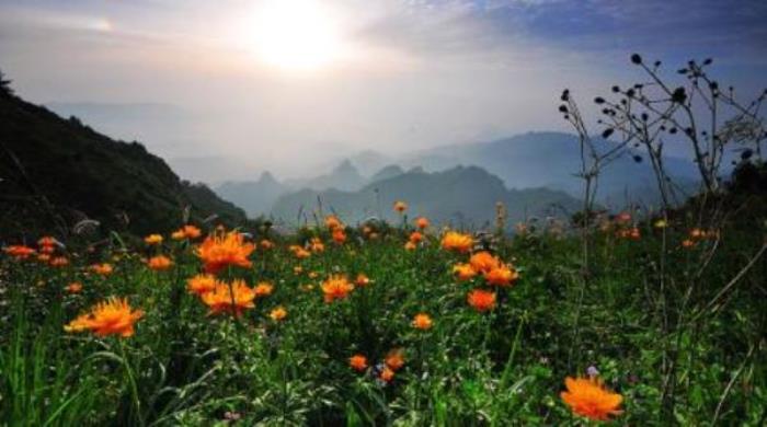 駝梁風景區 駝梁風景區