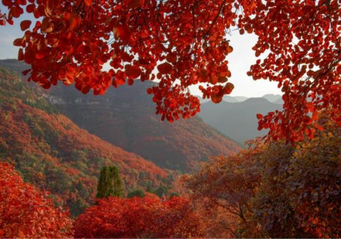 臨朐石門坊風景區(qū) 臨朐石門坊風景區(qū)