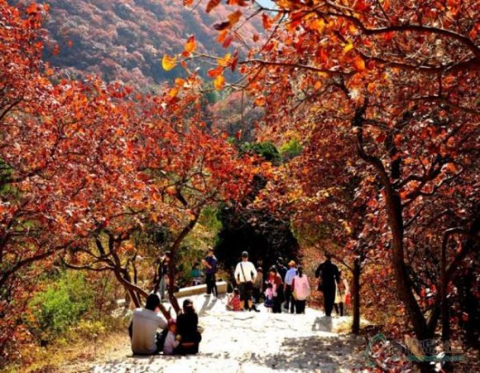 臨朐石門坊風景區(qū) 臨朐石門坊風景區(qū)