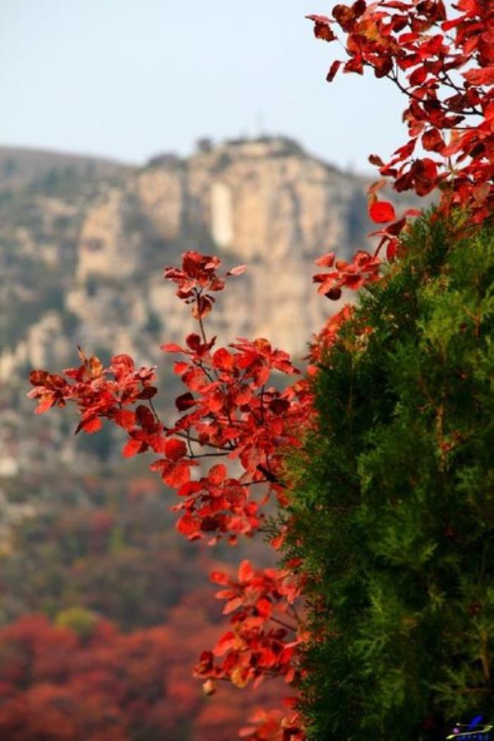 臨朐石門坊風景區(qū) 臨朐石門坊風景區(qū)
