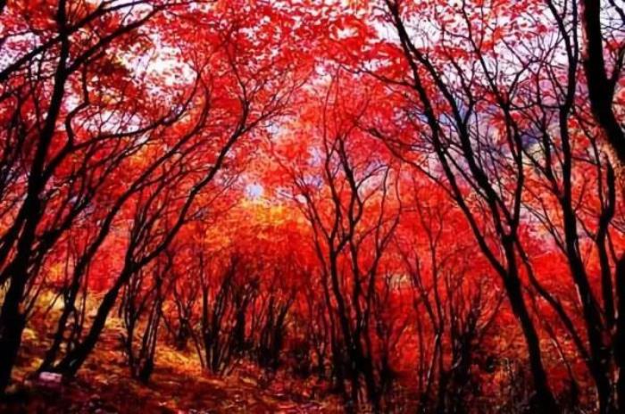 臨朐石門坊風景區(qū) 臨朐石門坊風景區(qū)