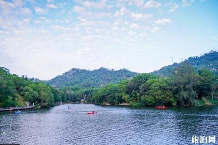 廈門大學景區 廈門大學景區