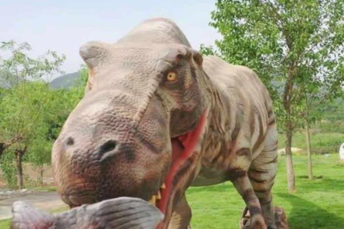 石家莊-西部長青自然兒童樂園