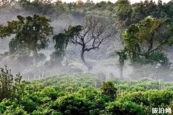 桂林漓江逍遙湖景區