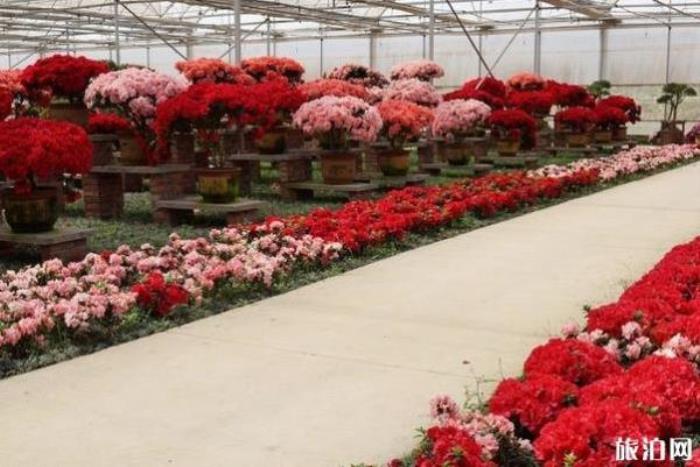 湘潭盤(pán)龍大觀園