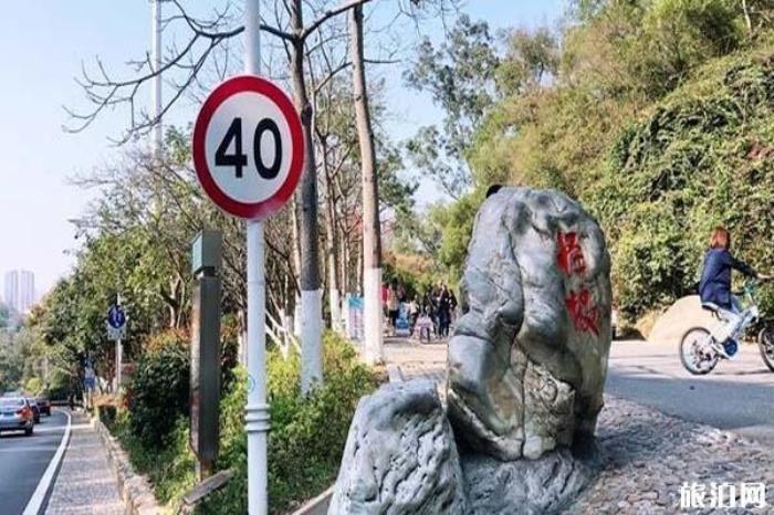 廈門園林植物園景區 廈門園林植物園景區
