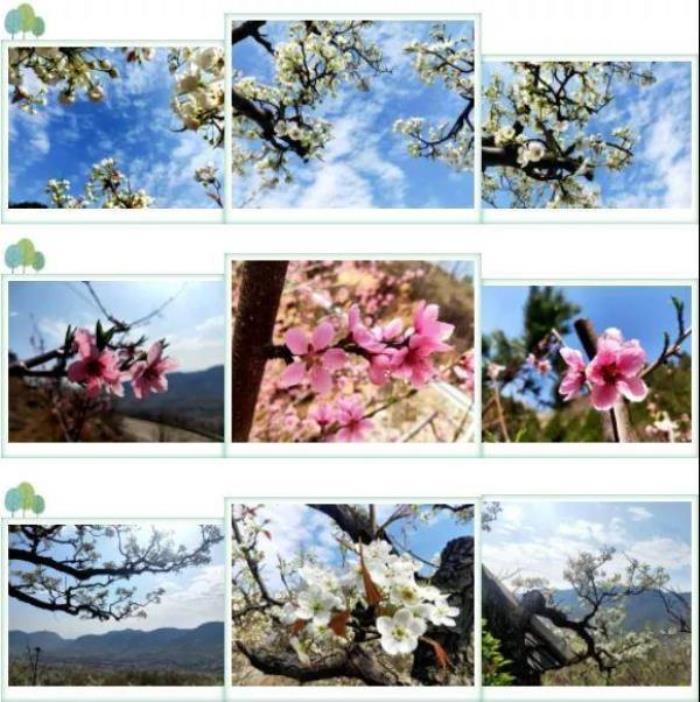 濰坊青州天賜山 濰坊青州天賜山