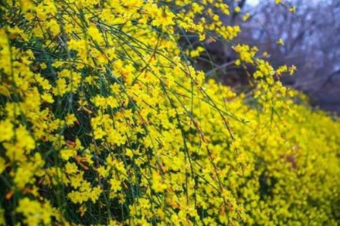 濰坊青州天賜山 濰坊青州天賜山
