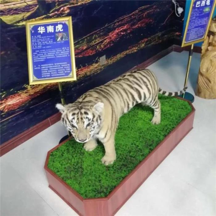 煙臺龍口動植物園 煙臺龍口動植物園