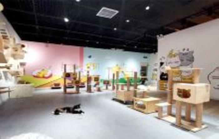 貓咪博物館（柳巷旗艦店）山西景點