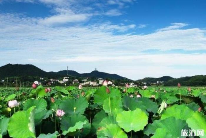 株州大京風景旅游區 株州大京風景旅游區