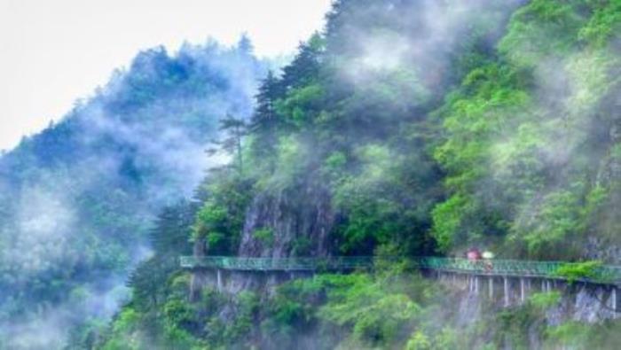 靈江源森林公園