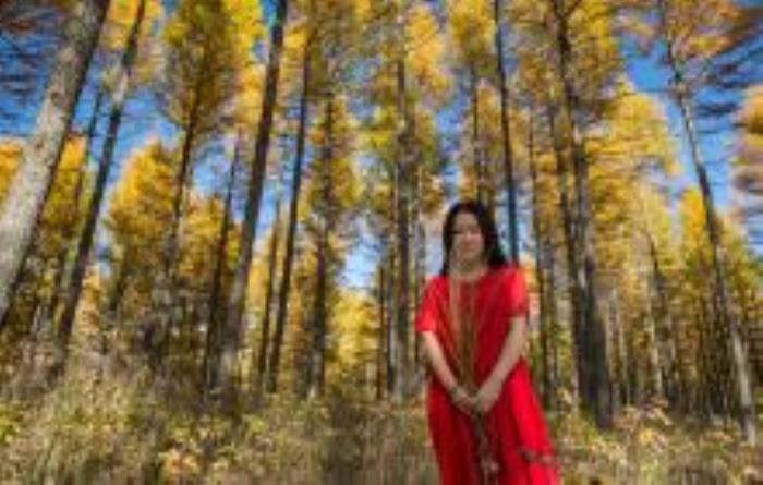 塞罕壩第一景河北景點